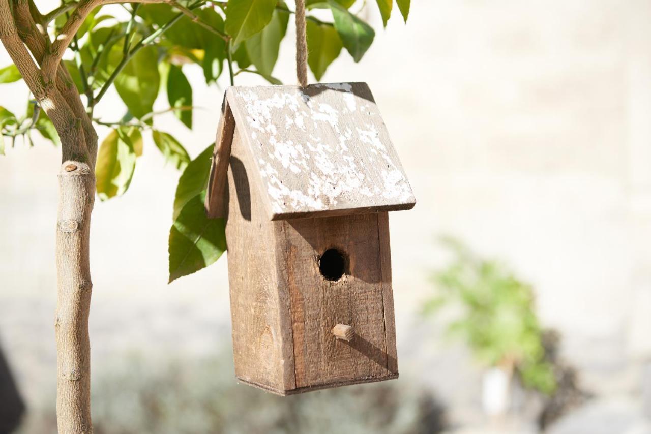 Ferienhaus Lemon Tree Rieden  Екстер'єр фото